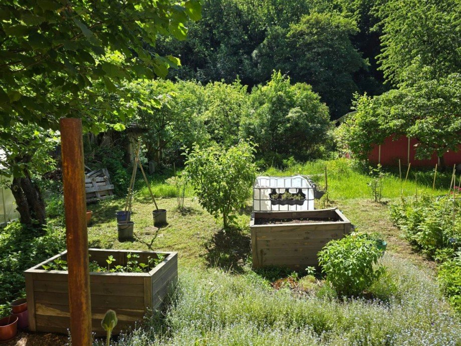 Garten Mehrfamilienhaus Tharandt